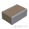 1825Y2500102FCT Image